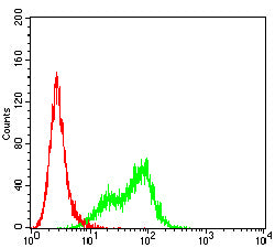 Figure 4: Flow cytometric analysis of Hela cells using CXCL16 mouse mAb (green) and negative control (red).