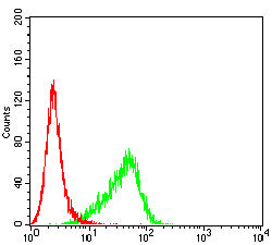 Figure 4: Flow cytometric analysis of Hela cells using CXCL16 mouse mAb (green) and negative control (red).