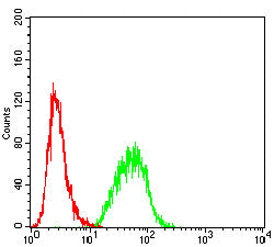 Figure 5: Flow cytometric analysis of Hepg2 cells using C-MYC mouse mAb (green) and negative control (red).