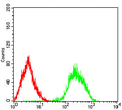 Figure 6: Flow cytometric analysis of Lovo cells using C-MYC mouse mAb (green) and negative control (red).