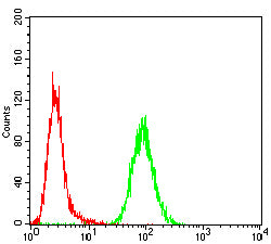 Figure 4: Flow cytometric analysis of Hela cells using C-MYC mouse mAb (green) and negative control (red).