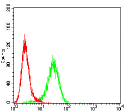Figure 5: Flow cytometric analysis of Hepg2 cells using ARG1 mouse mAb (green) and negative control (red).