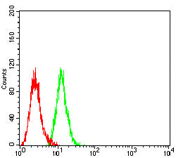 Figure 4: Flow cytometric analysis of BEL-7402 cells using ARG1 mouse mAb (green) and negative control (red).