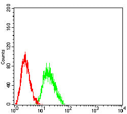 Figure 5: Flow cytometric analysis of Jurkat cells using SERPINA mouse mAb (green) and negative control (red).