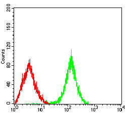 Figure 5: Flow cytometric analysis of Lovo cells using EPCAM mouse mAb (green) and negative control (red).