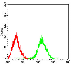 Figure 5: Flow cytometric analysis of Lovo cells using EPCAM mouse mAb (green) and negative control (red).