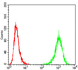 Figure 5: Flow cytometric analysis of Hepg2 cells using TUBA4A mouse mAb (green) and negative control (red).
