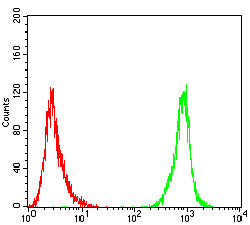Figure 4: Flow cytometric analysis of A431 cells using TUBA4A mouse mAb (green) and negative control (red).