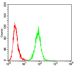 Figure 5: Flow cytometric analysis of Hepg2 cells using BAX mouse mAb (green) and negative control (red).