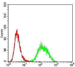 Figure 6: Flow cytometric analysis of Jurkat cells using BAX mouse mAb (green) and negative control (red).