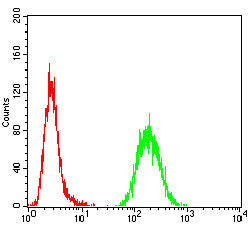 Figure 4: Flow cytometric analysis of Hela cells using BAX mouse mAb (green) and negative control (red).