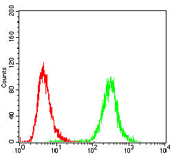 Figure 6: Flow cytometric analysis of Jurkat cells using BAX mouse mAb (green) and negative control (red).