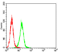 Figure 4: Flow cytometric analysis of Hela cells using CHGA mouse mAb (green) and negative control (red).