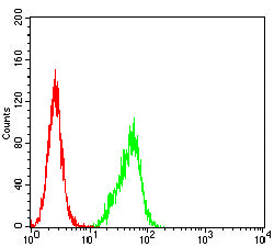 Figure 6: Flow cytometric analysis of Hela cells using CHGA mouse mAb (green) and negative control (red).