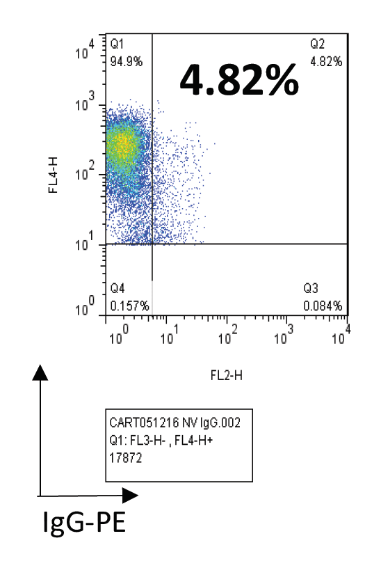Figure 3: Non-transduced cells have background IgG staining versus >60% CAR-T cells (Not shown).