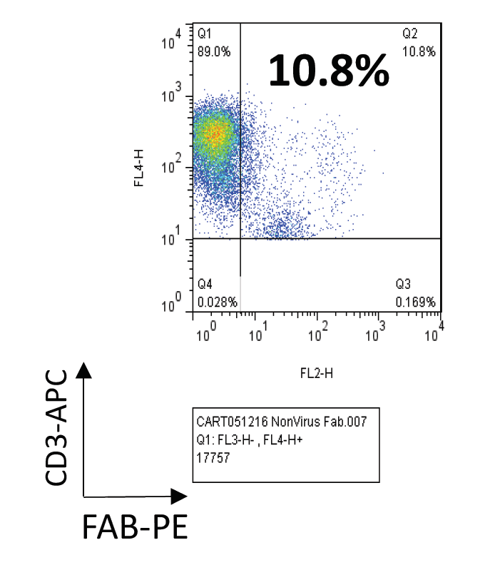 Figure 2: Non-transduced cells have background FAB staining versus >60% CAR-T cells (Not shown).