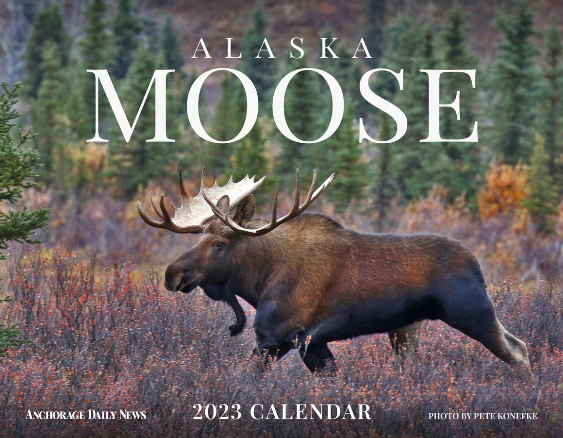 Shop Moose Calendars at Anchorage Daily News Store Anchorage Daily