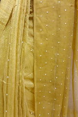 Maroon Handloom Matka Silk sequin Woven saree