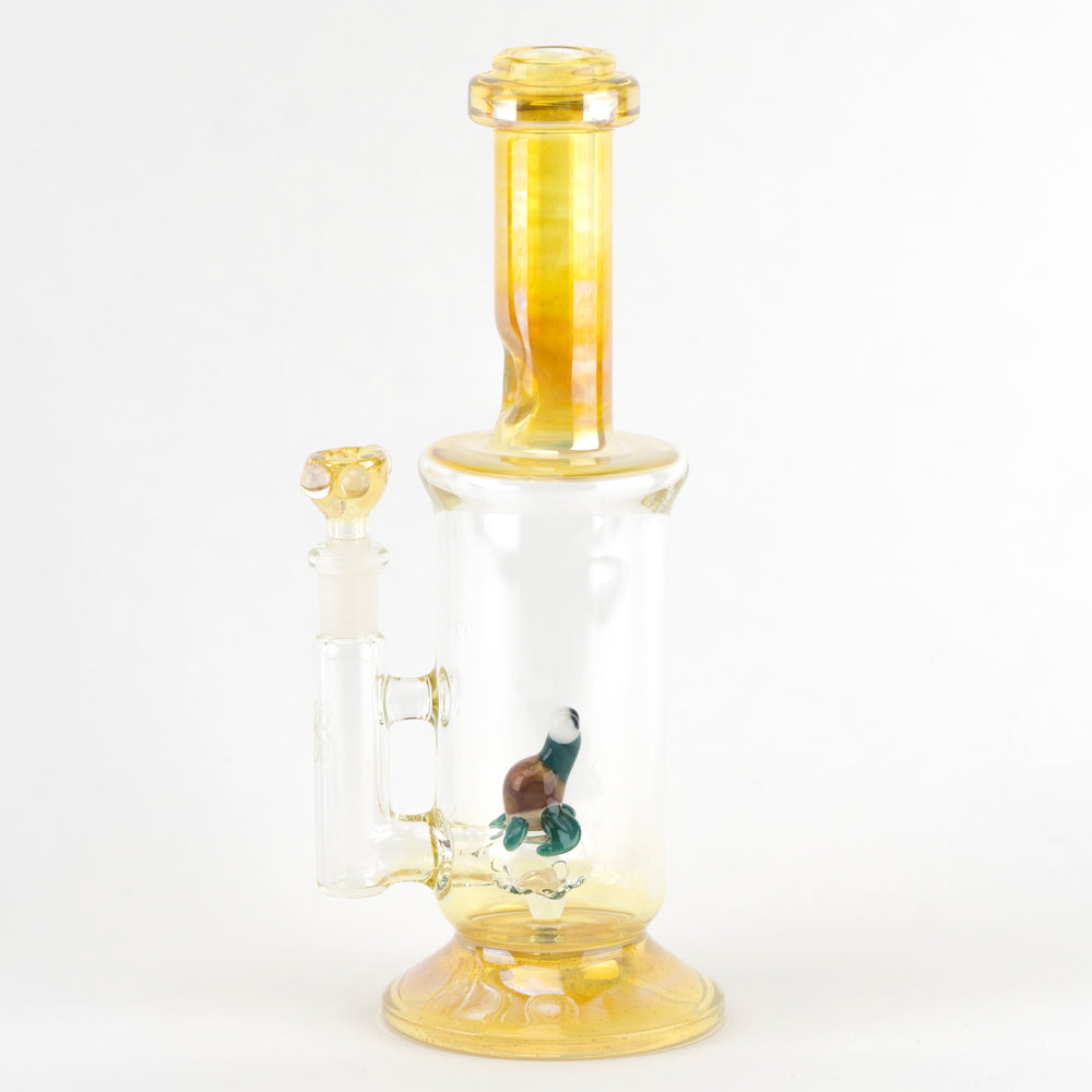 Waterpipe, Black Sheep, Encore, Gold Beaker