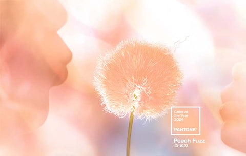 Peach Fuzz: Colore Pantone dell'anno 2024 genova