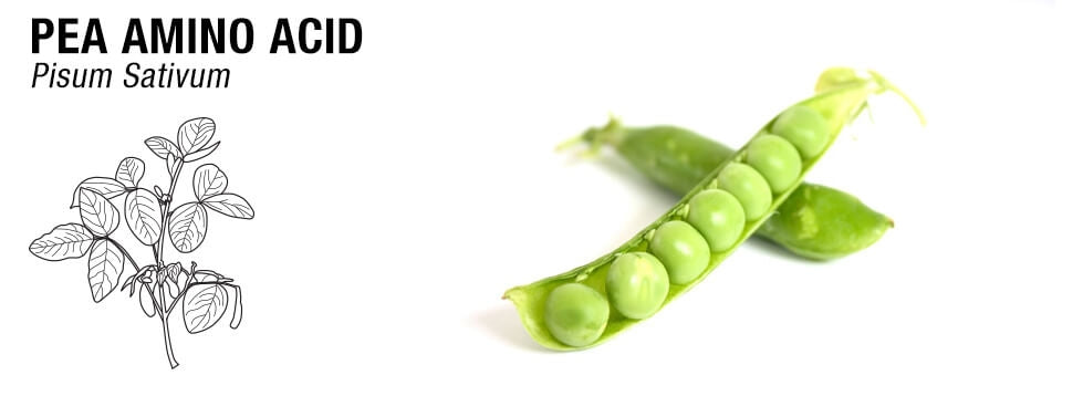 Pea Amino Acid