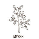 Myrrh