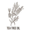 Tea Tree