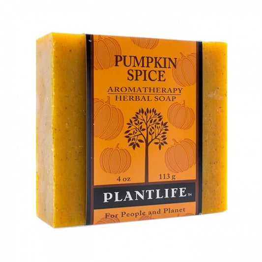Pumpkin Spice Planted Based Bar Soap