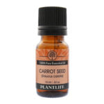 Carrot Seed Essential Oil