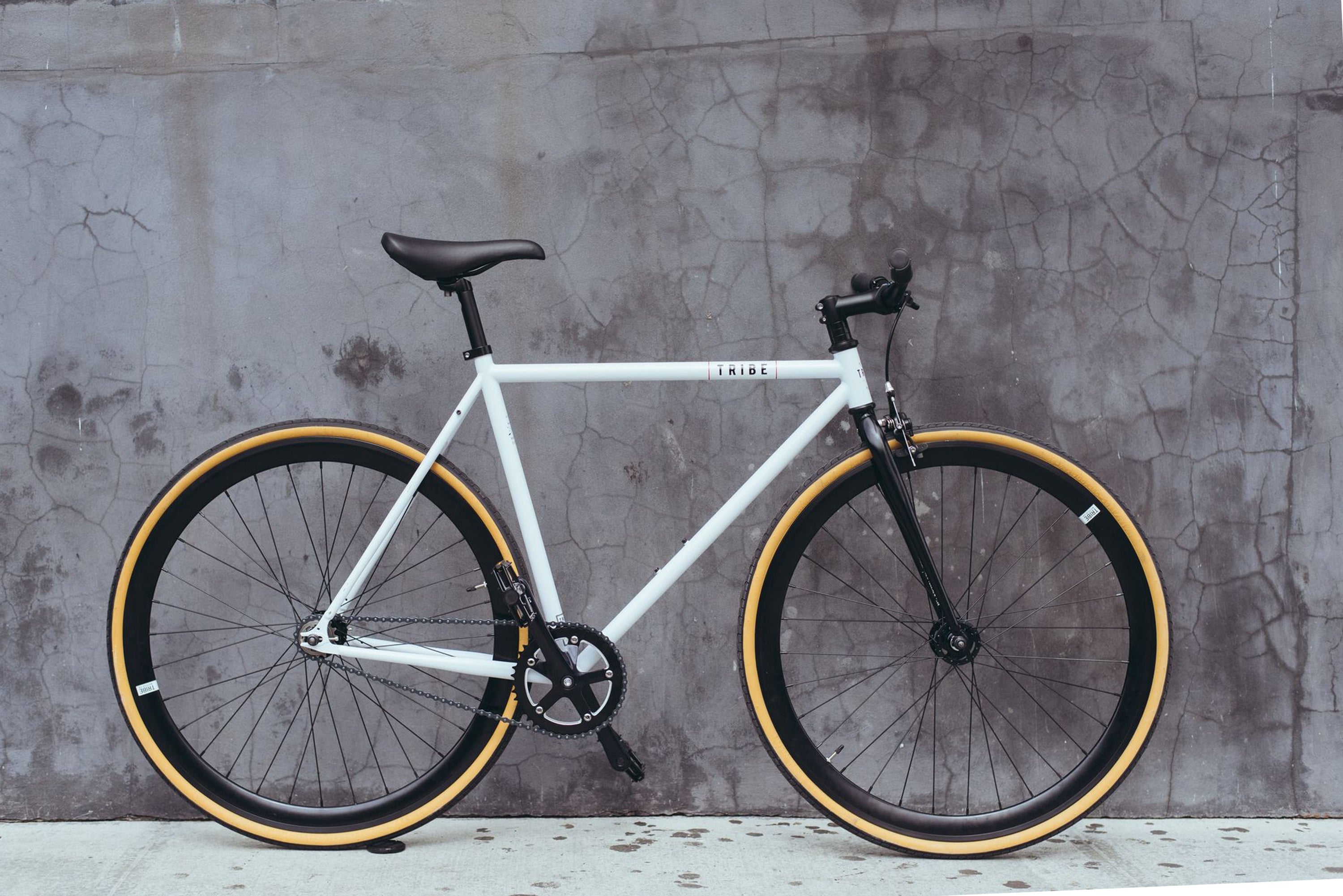 tribe single speed bike