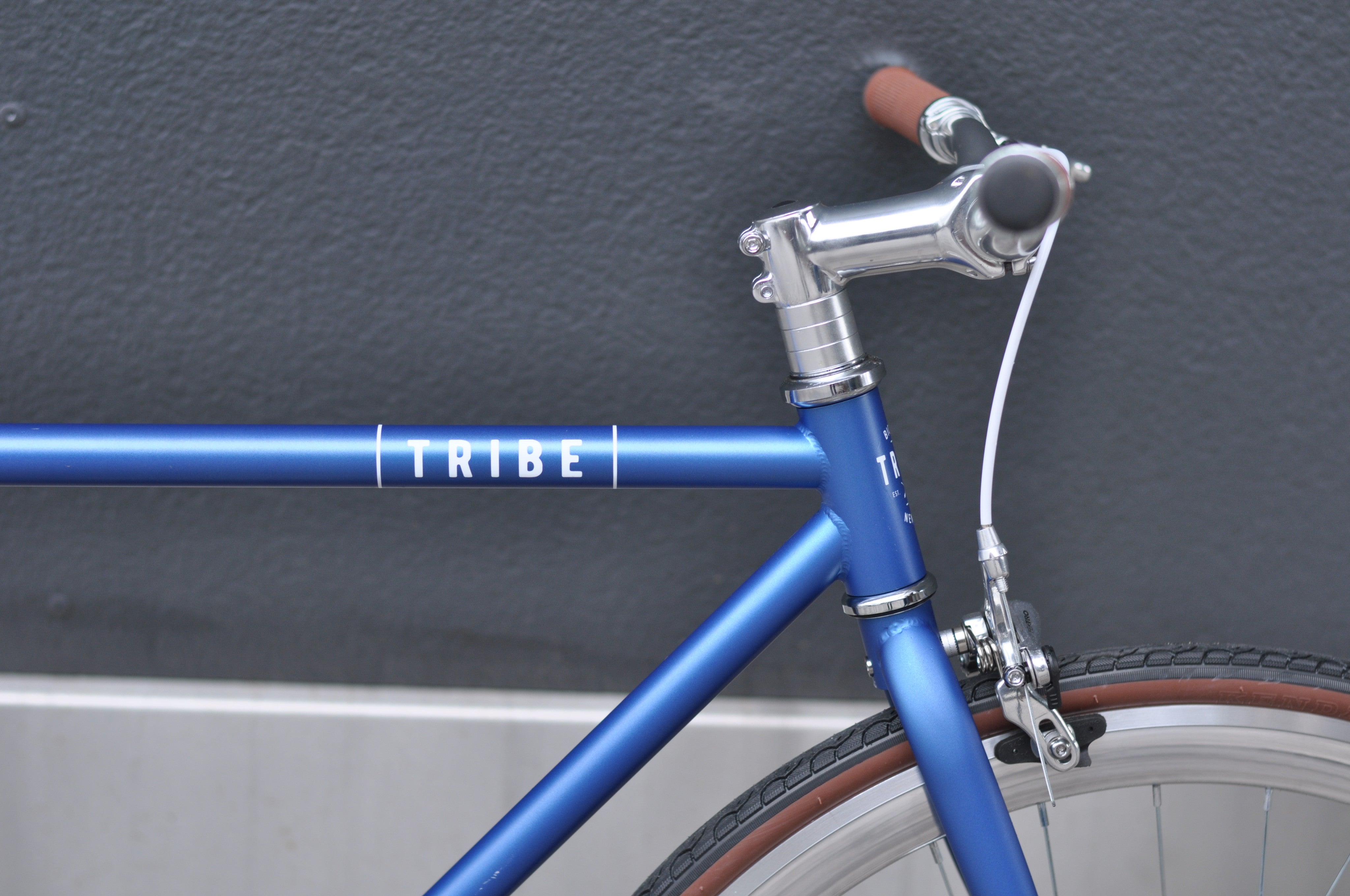 tribe single speed bike
