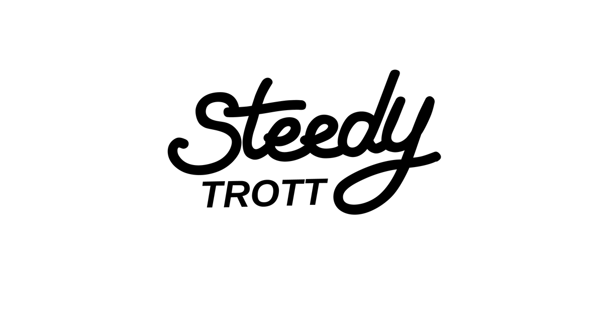 Cadenas pour scooter électrique – Steedy Trott