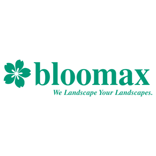www.bloomax.live