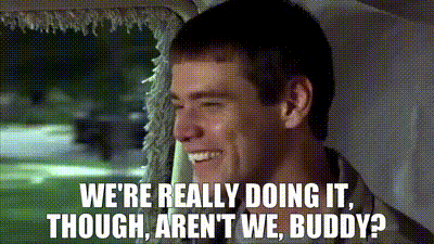 Gif from Dumb and Dumber, "we're really doing it though, aren't we buddy?"