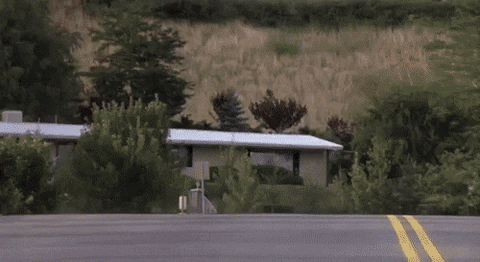 Gif from Dumb and Dumber, big floppy dog van jumping over a hill on the road