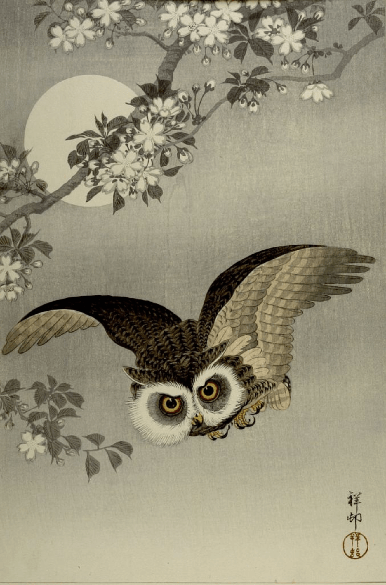 Scops Owl in Flight, Cherry Blossoms and Full Moon By Ohara Koson
