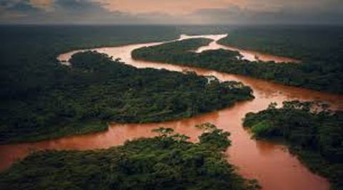 O Rio Amazonas e seus peixes