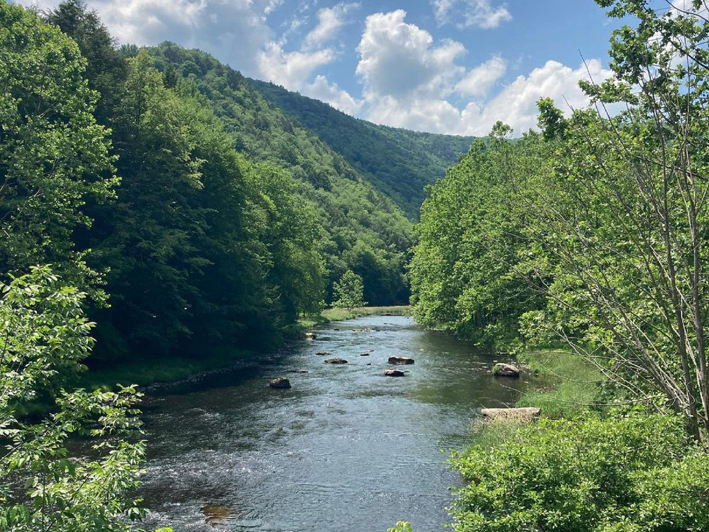 Kettle Creek Pennsylvania State Park - USA Fly Fishing Destinations