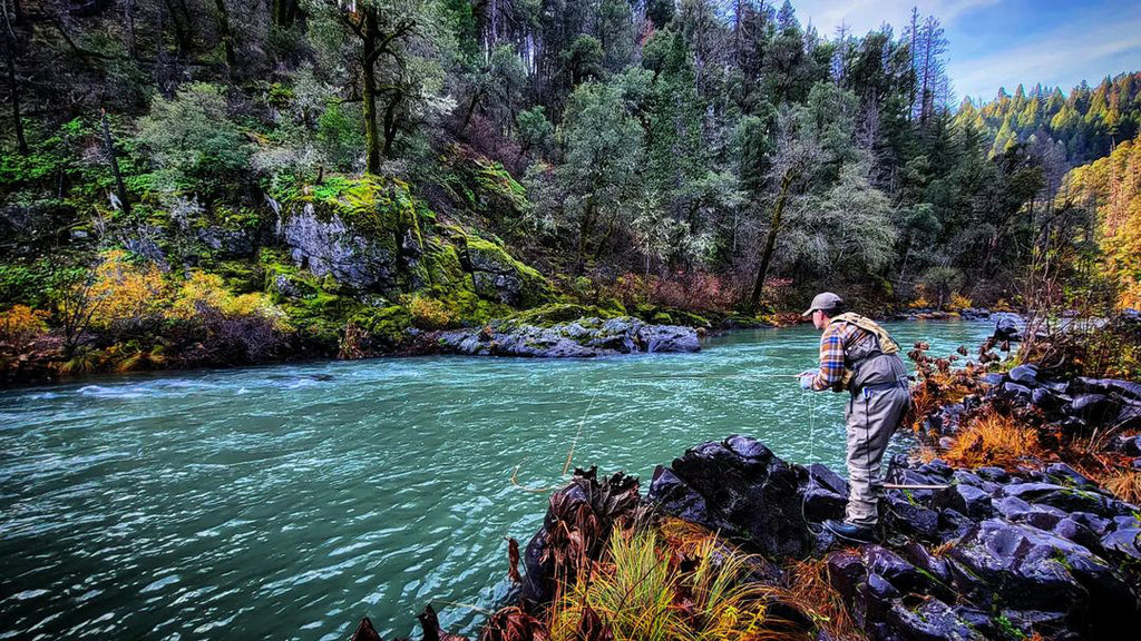 Fly Fishing the McCloud River in California