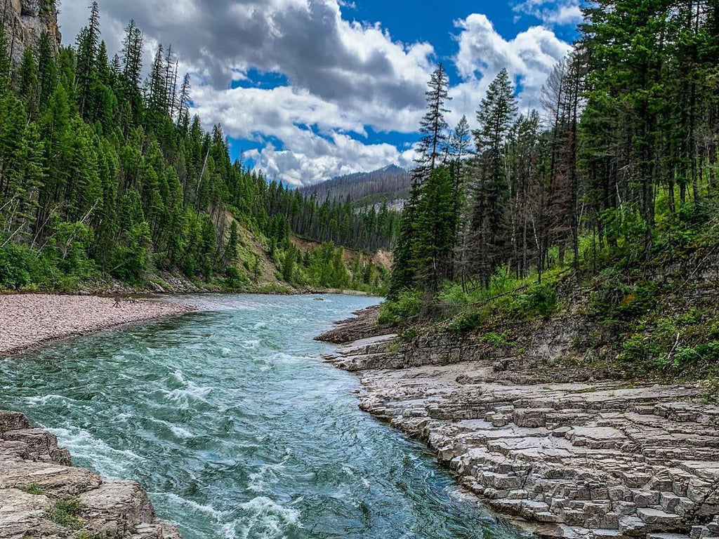 South Fork of the Flathead River, Montana - Top Fly Fishing Destination