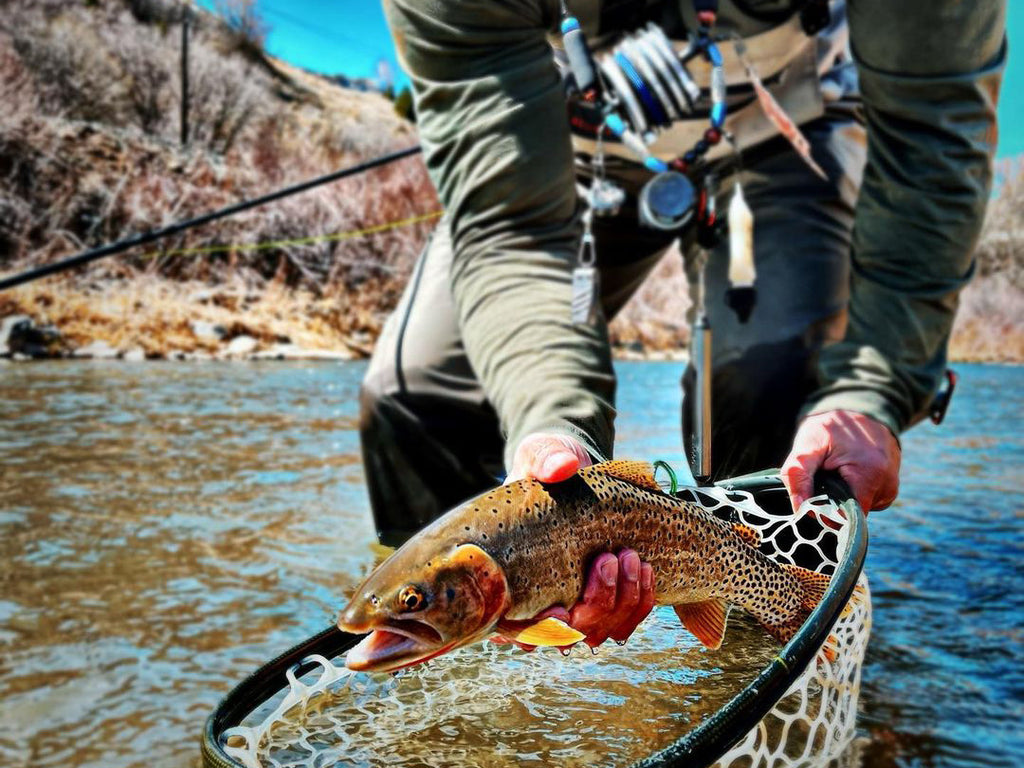 Cutthroat on the Fly - Weber River, Utah