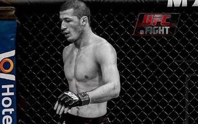 Conquering the Cage: A Look at the Best Dagestani MMA Fighters – Green Hill  Sports