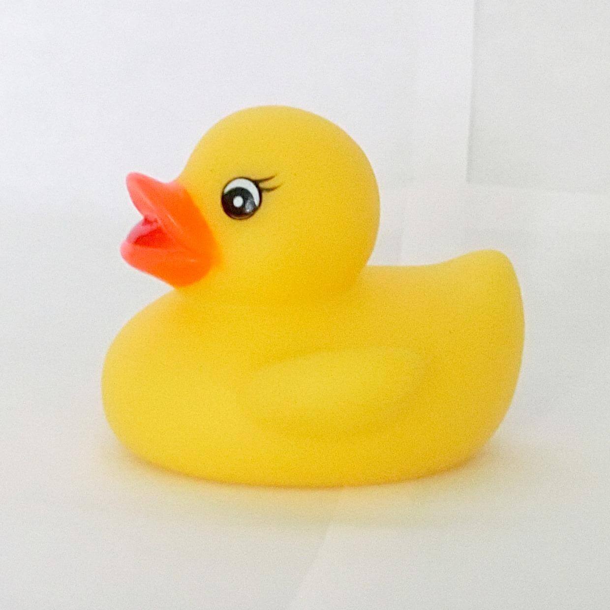 tiny rubber ducks bulk