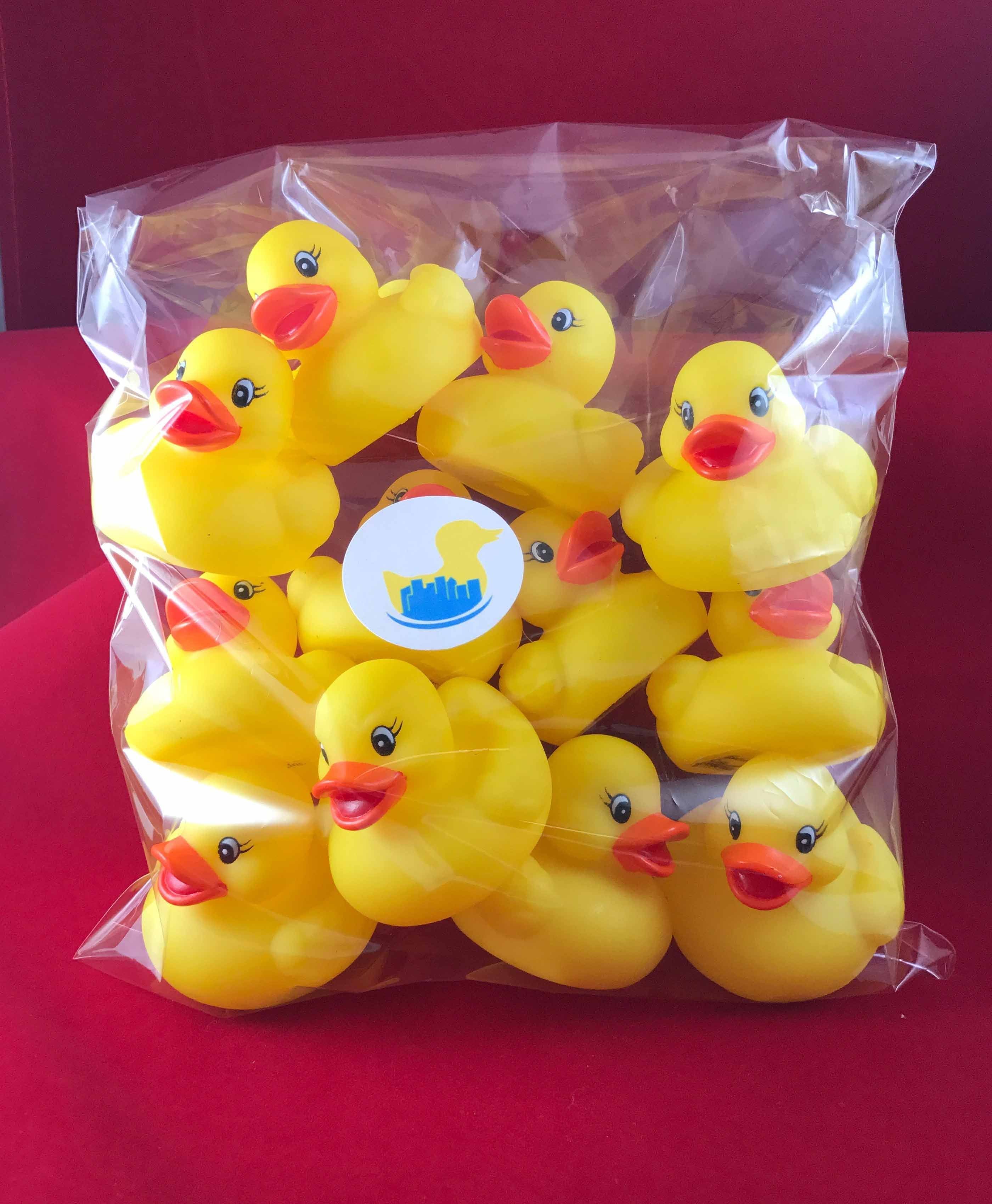 2 Mini Pretty Rubber Duck One Dozen Ducky City 3531