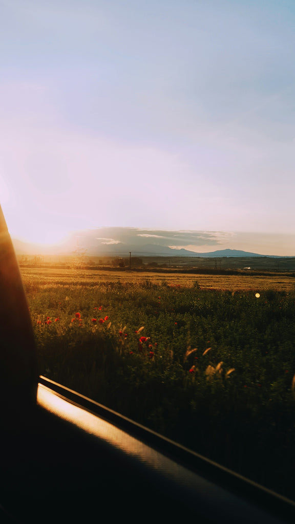 An image of late evening landscape as seen from a moving train.