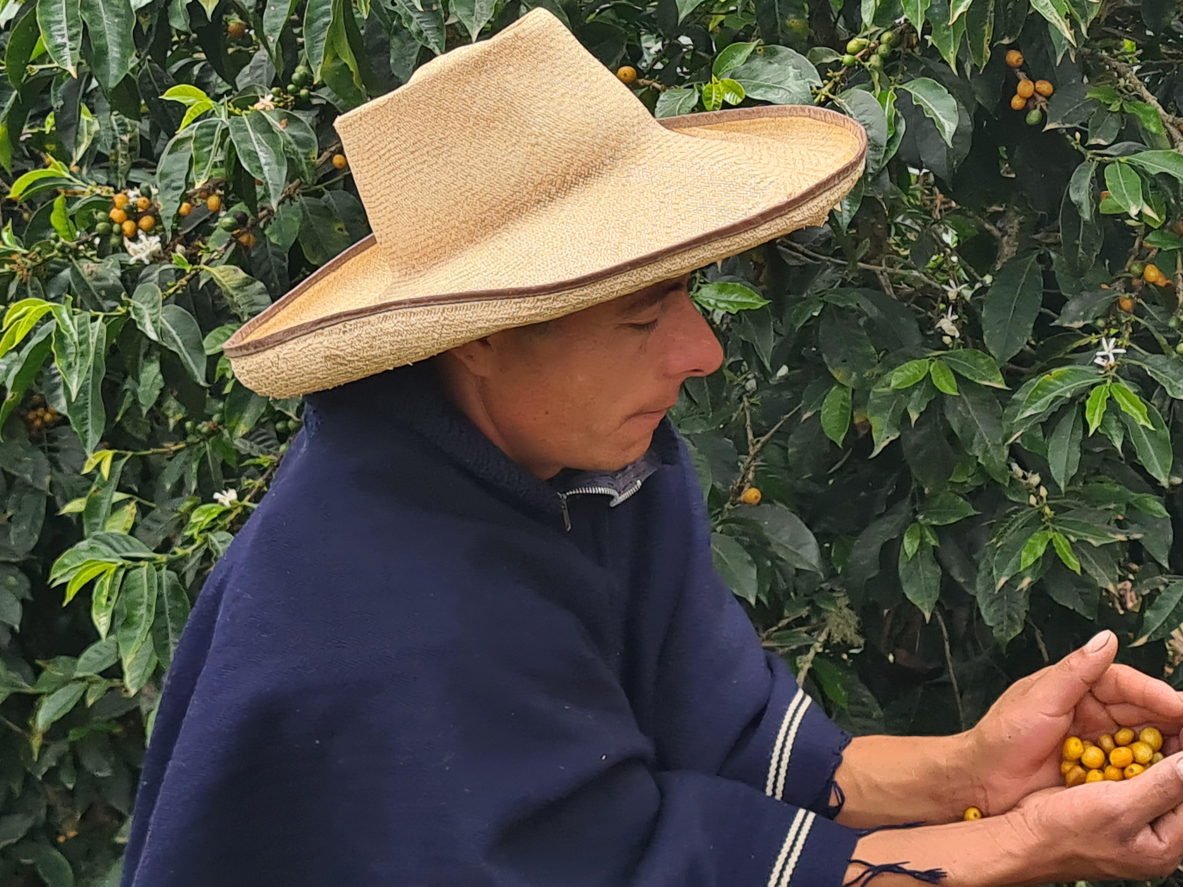 PERU FLOR DE CAÑA – Inka paahtimo