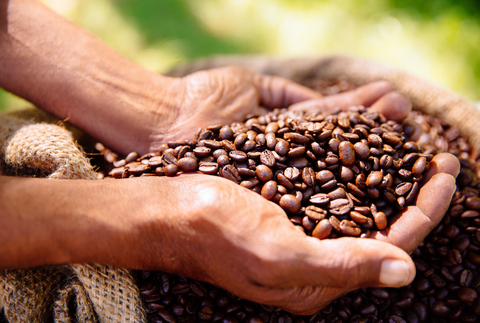 Nachhaltigkeit Ernährung Fairtrade Kaffeebohnen Hand