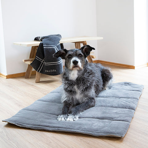 Dog mat with dog