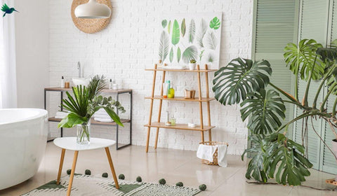 Décoration Jungle – Déco Exotique