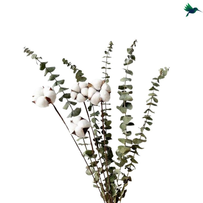 Bouquet Fleurs de Coton et Eucalyptus – Déco Exotique